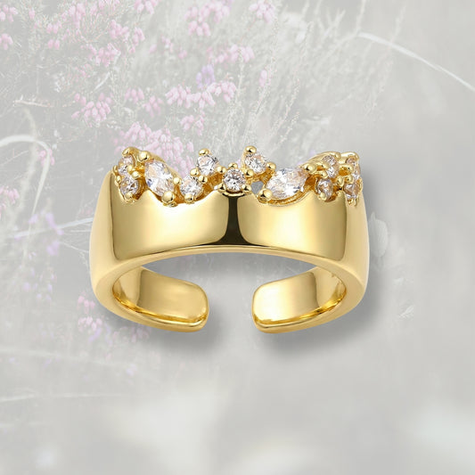 Anello a fascia con mix di Zirconia Cubica, placcato in oro 18k